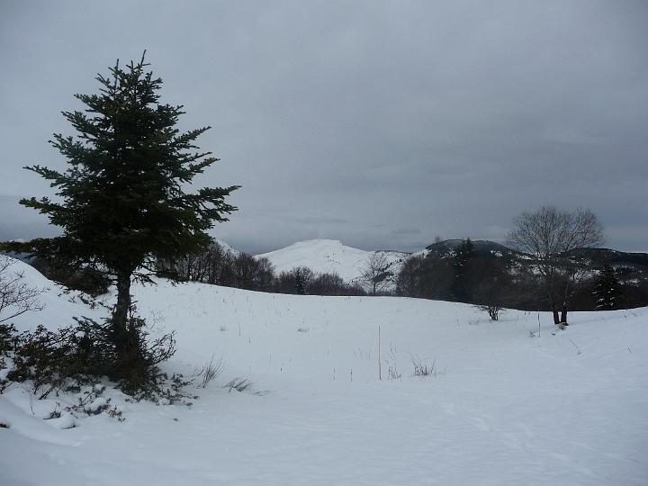 PTEAM_PicDoulent_2009 004.jpg